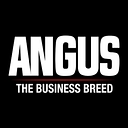 American Angus Association logo