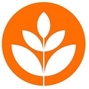 Brand New School logo