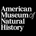 American Museum logo