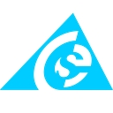 CSE Software Inc. logo