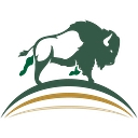 The Bison Group logo