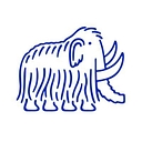 Harry's logo