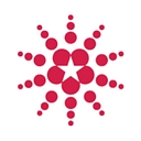 SAFE logo
