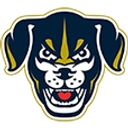Lincoln Saltdogs logo