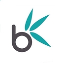 Bamboo Nine logo