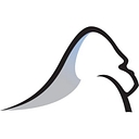 Silverback Strategies logo